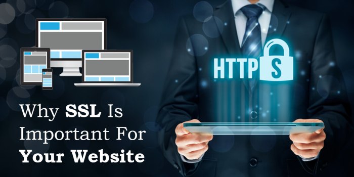 The Importance of SSL and Security Features in Web Hosting