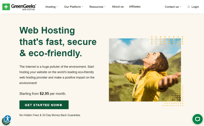 Top Green Web Hosting Providers for an Eco-Friendly Website