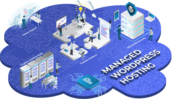 Providers